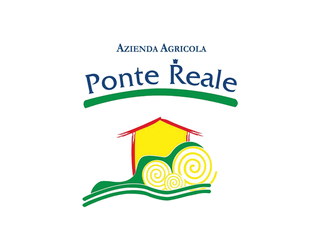 PonteReal