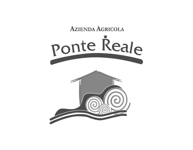 PonteReal